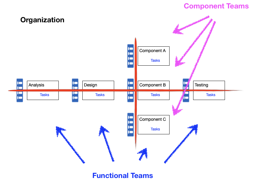 Functional and Component Teams