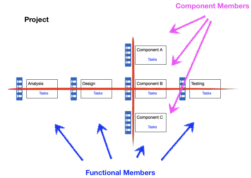 Functional and Component Members