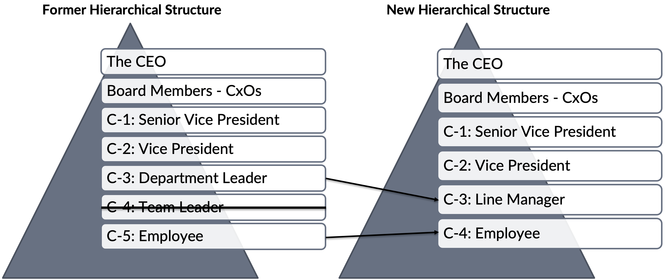 Role of team leaders removed.