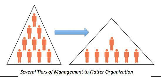 Line Coach Organization